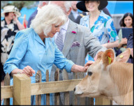 Their Majesties the King and Queen Visit the Channel Islands