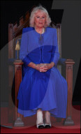 Their Majesties the King and Queen Visit the Channel Islands