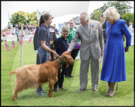 Their Majesties the King and Queen Visit the Channel Islands