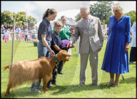 Their Majesties the King and Queen Visit the Channel Islands
