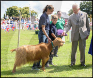 Their Majesties the King and Queen Visit the Channel Islands