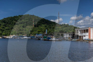 Brazil's appetite for shark meat puts species under threat.