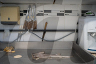 Brazil's appetite for shark meat puts species under threat.