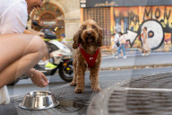 Barcelona - First heat wave of the summer in Spain