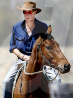 Principe Harry
