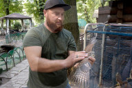 Falcon chicks nursed in Vinnytsia zoo yard