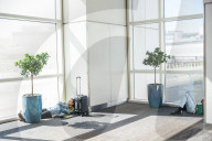 Total reliance on internet backfires when ‘bug’ shuts down air travel
