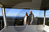 'Cutest animal in Australia': keeping watch over greater gliders in a forest targeted for logging