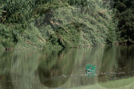Toxic spill affects the Besos River