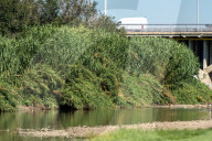 Toxic spill affects the Besos River