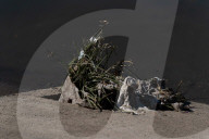 Toxic spill affects the Besos River
