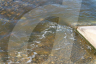 Toxic spill affects the Besos River