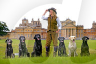 FEATURE - Jagdhunde im Vorfeld der Game Fair im Blenheim Palace