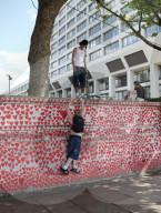 Covid Memorial Wall, London, UK.