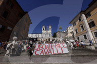 Roma - Protesta degli animalisti italiani contro le botticelle