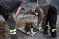 Vasto incendio a Ponte Mammolo