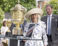 Queen Camilla at Ascot races