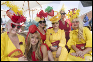 Glorious Goodwood