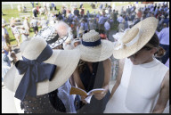 Glorious Goodwood