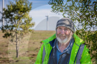 'It doesn't need to be one or the other': balancing brolgas and windfarms in Victoria
