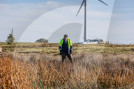 'It doesn't need to be one or the other': balancing brolgas and windfarms in Victoria
