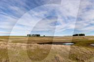 'It doesn't need to be one or the other': balancing brolgas and windfarms in Victoria