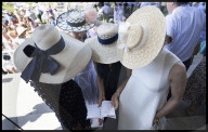 Glorious Goodwood