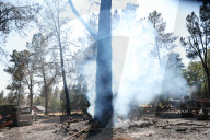 Park Fire tears thru Northern California