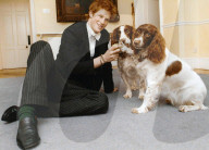 Principe Harry