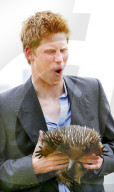 Principe Harry