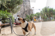 Barcelona - Record heat in Barcelona with 39.8 degrees