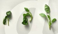 Kitchen vacuum food sealer