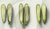 Kitchen vacuum food sealer