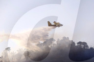 Roma - Incendio nei pressi del tribunale nella zona Monte Mario