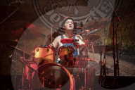 STEVE N SEAGULLS