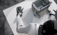Home chores robot