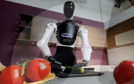 Home chores robot