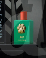 Dolce & Gabbana unveils fragrance for dog