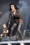 HOLLYWOOD VAMPIRE