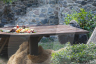 Gorilla Toni celebrates 50th birthday at Kyiv Zoo