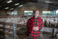 'I feel like I've been run over by a tank': Scottish woman breaks world sheep-shearing record