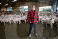 'I feel like I've been run over by a tank': Scottish woman breaks world sheep-shearing record