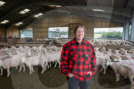 'I feel like I've been run over by a tank': Scottish woman breaks world sheep-shearing record