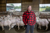 'I feel like I've been run over by a tank': Scottish woman breaks world sheep-shearing record