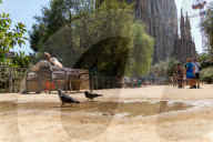 Barcelona_New heatwave in Spain