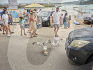 How St Ives became patient zero of British overtourism