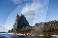 They're 600km off the coast, but farmers on Lord Howe Island say 'we can't compete with Woolworths'