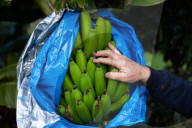 They're 600km off the coast, but farmers on Lord Howe Island say 'we can't compete with Woolworths'