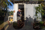 They're 600km off the coast, but farmers on Lord Howe Island say 'we can't compete with Woolworths'