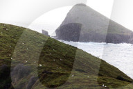 They're 600km off the coast, but farmers on Lord Howe Island say 'we can't compete with Woolworths'